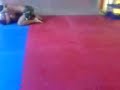 Ric x helgon - SUBMISION GRACIE BARRA Ric x helgon - SUBMISION GRACIE BARRA