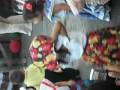 videos de Eliana bailando joropo