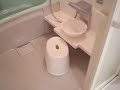 Japanese version of combo shower/bath