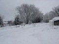 Riding my Percheron Lee on December 9th, 2009 after the heavy snow storm.