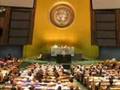 Human Rights Under Assault -- WWW.UNWATCH.ORG