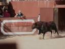 V Proyección de la Peña Taurina 