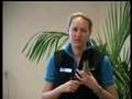 2. Making Sense of Sensory Intergration (Workshop Summary)