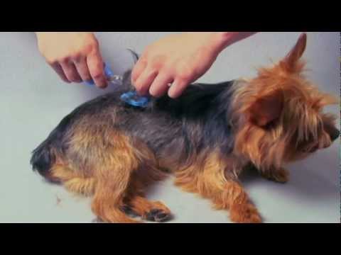 Scaredy Cut Silent Home Pet Grooming Kit for Dogs and Cats