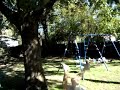 MOV00953.MPG