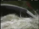 An Orgy of Whitewater Carnage - 2 of 2