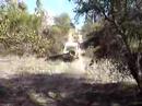 pajero extreme pajero extreme