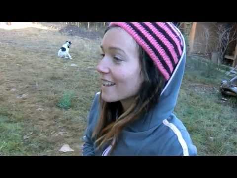 how to tell when to harvest avocados