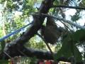 videos de Panama Animal Rescue Music Video Arcade Fire