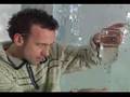 Street Magic -- Paul Zenon -- Anti-Gravity