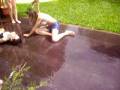 videos de Nobenobe , la pasa bien. Fiesta cumpleaños Eve