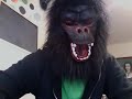 HALLOWEEN GREETING FROM GORILLA DAN BROWN HALLOWEEN GREETING FROM GORILLA DAN BROWN