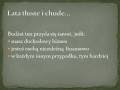 videos de Jak zarządzać pieniędzmi, by mądrze budować swoje bogactwo?