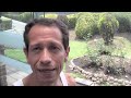 ADELGAZA SIN ESFUERZO Y BRAZOS FIRMES
