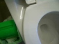 Sitting Karat Toilet at my Upstair Bathroom