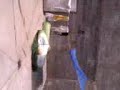 Aparicion de una niñaa