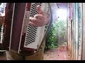 RONCO DO BUGIO MÚSICA GAUCHA - ??????? SANFONA - CHAMAME RONCO DO BUGIO MÚSICA GAUCHA - ??????? SANFONA - CHAMAME