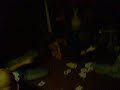Drunk Dancin