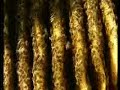 Simon Schama on Industrialization Simon Schama on Industrialization