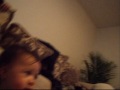 thanksgiving_0001.wmv