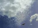 B17 Silhouette Flyover B17 Silhouette Flyover