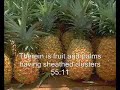 Quran, best of abdelbasit abdelsamad Quran, best of abdelbasit abdelsamad