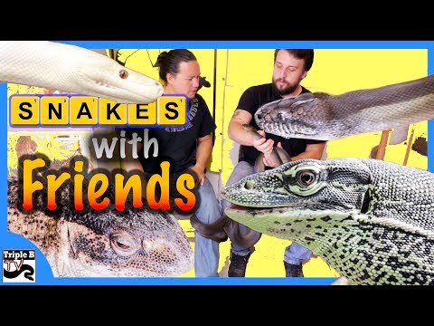 YouTube reptile video