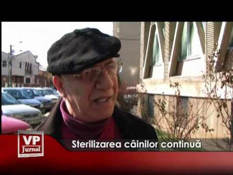Sterilizarea căinilor continuă