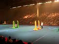 SuperDogs Show the jumping dogs