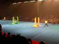 SuperDogs Show the jumping dogs