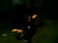 rhys wheeling a pitbike