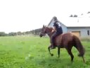Perle o galop vec licol Perle o galop vec licol
