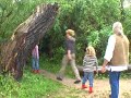 MDR-BIWAK auf der Kulturinsel Einsiedel