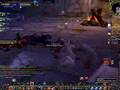 Dire Maul: Tribute Run