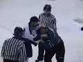 AHL fight AHL fight