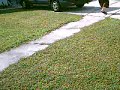 the guys were skating outside of namitas house wen they saw a electric scooter, a tire, and rail, and a whole shit load of crap outside some ladys house for garbage, so they went and took it.....