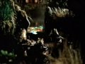 Budweiser Frogs Commercial