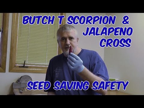 how to grow butch t scorpion