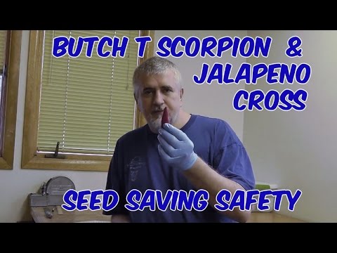 how to grow butch t