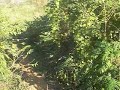 dirtbike jumping dude