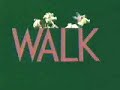 Classic Sesame Street - A New Way to Walk (ORIGINAL)