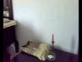 jazan hyat room 321
