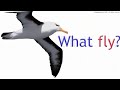 What Do Nouns Do? | Learn English | Grammar