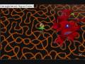 Fire cape With Ags at level 94 cb! 71 range and 81 Str!