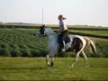Trix's First Bounce Fence