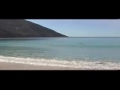 Swimming with Dolphins