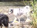 Tanja mit Ayko A1,Wangen