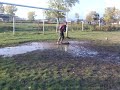 Cel mai bun portar din Targoviste