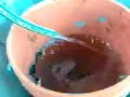 La temible criatura que aterroriza los niños y niñas