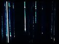 video for larrikin love - six queens by joseph marcantonio @ www.marcantonio.tv